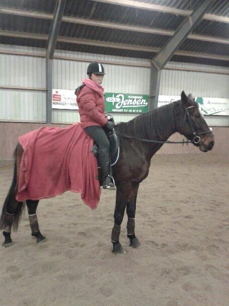 Anden særlig race Bella billede 1