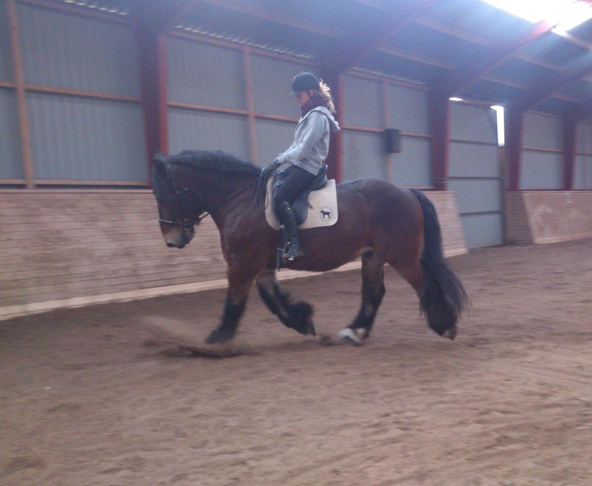 Belgier Bormosens Rollo - Muuuums!! billede 3