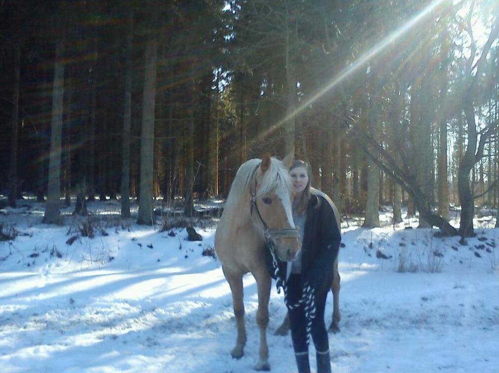 DSP Grønagergård Dobra - Den bedste gå tur i skoven med snen på jorden og ponyen<3 Og selvfølgelig  en god veninde <3 billede 16