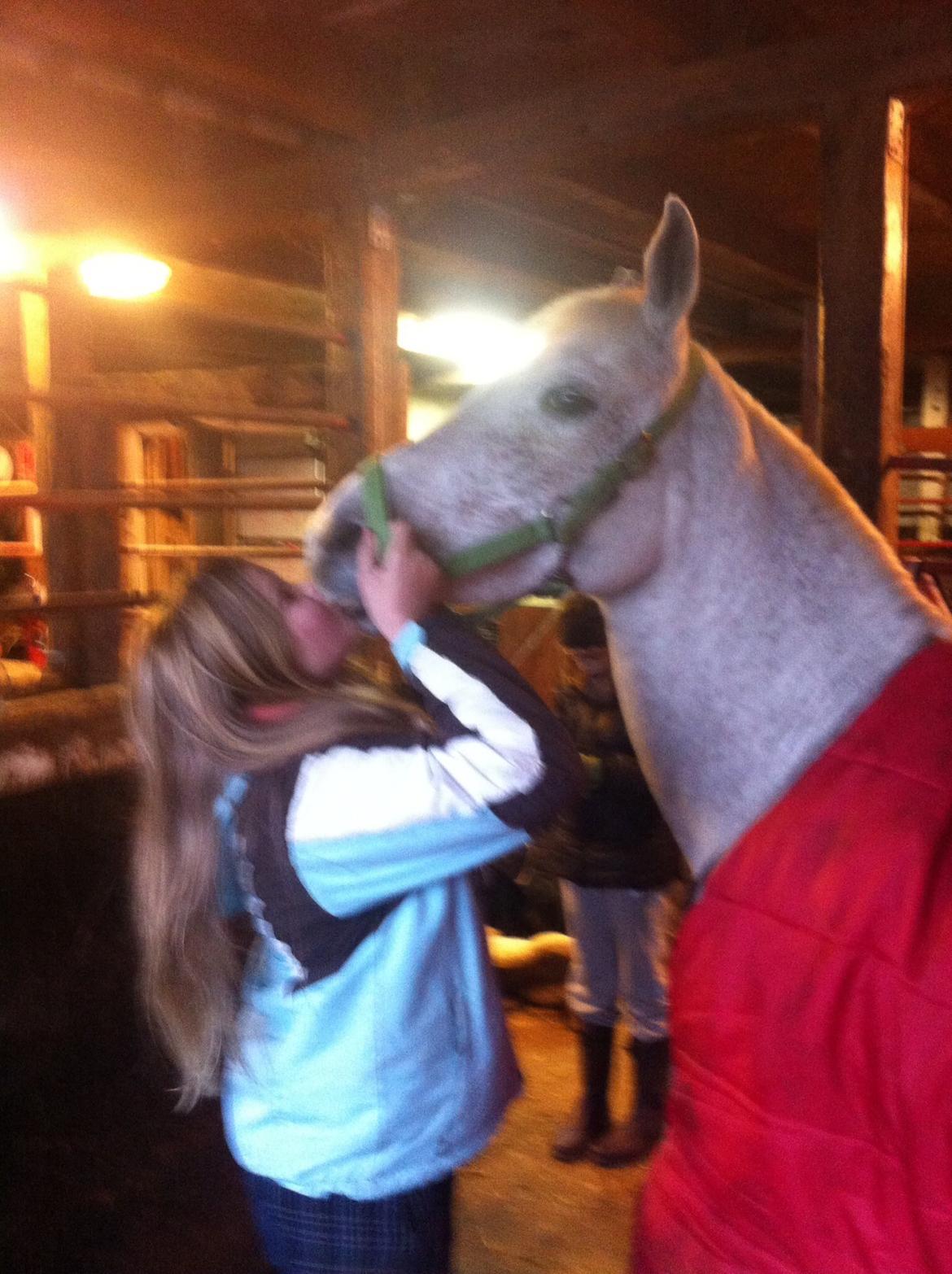 Anden særlig race Gadehøjs Caridee Himmelhest billede 15