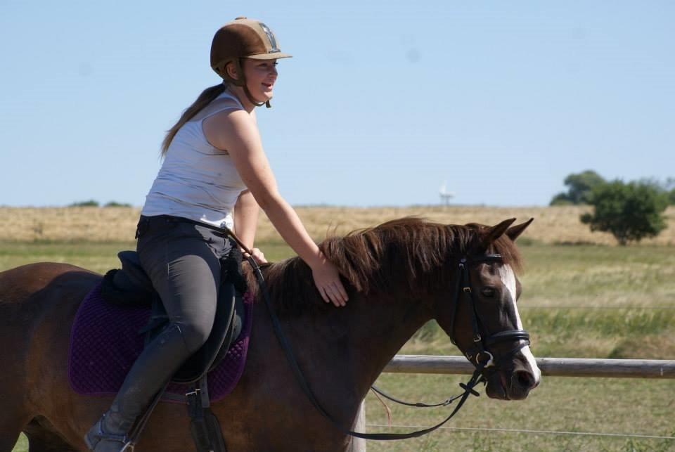 Anden særlig race Honey (Har redet) billede 16