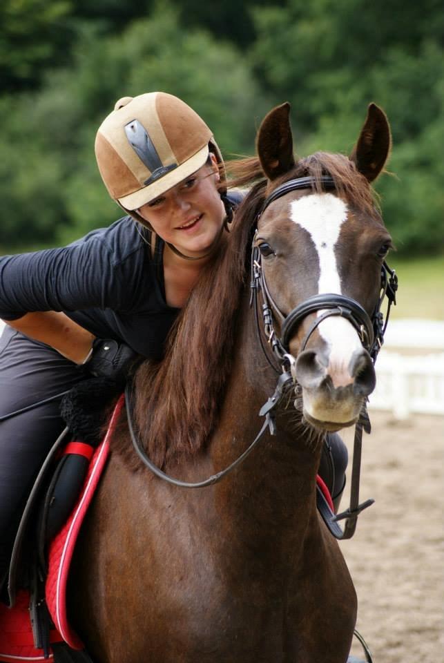 Anden særlig race Honey (Har redet) billede 1