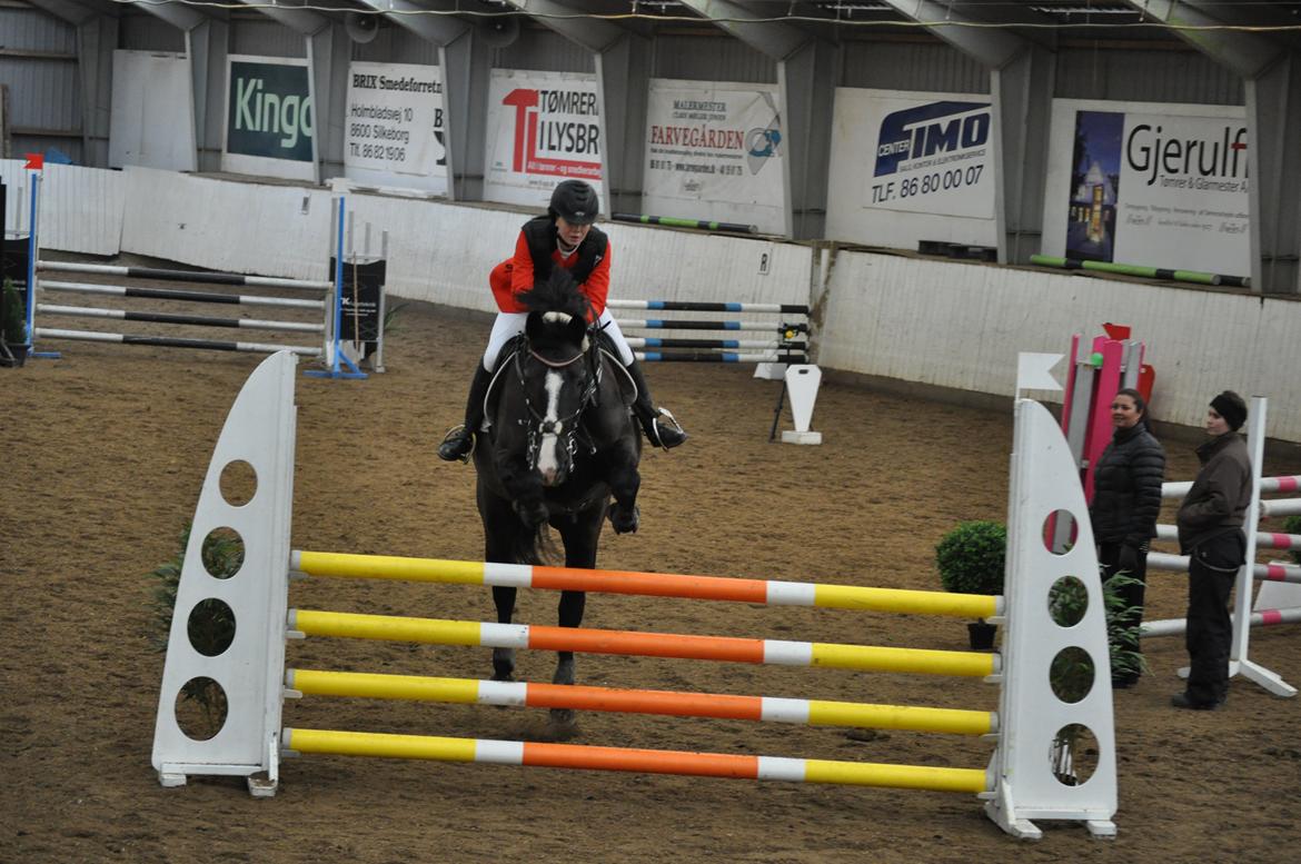 Oldenborg Josefine Fjellerup - VBH -<3 [Prinsesse] - C-stævne i silkeborg 2014 billede 3