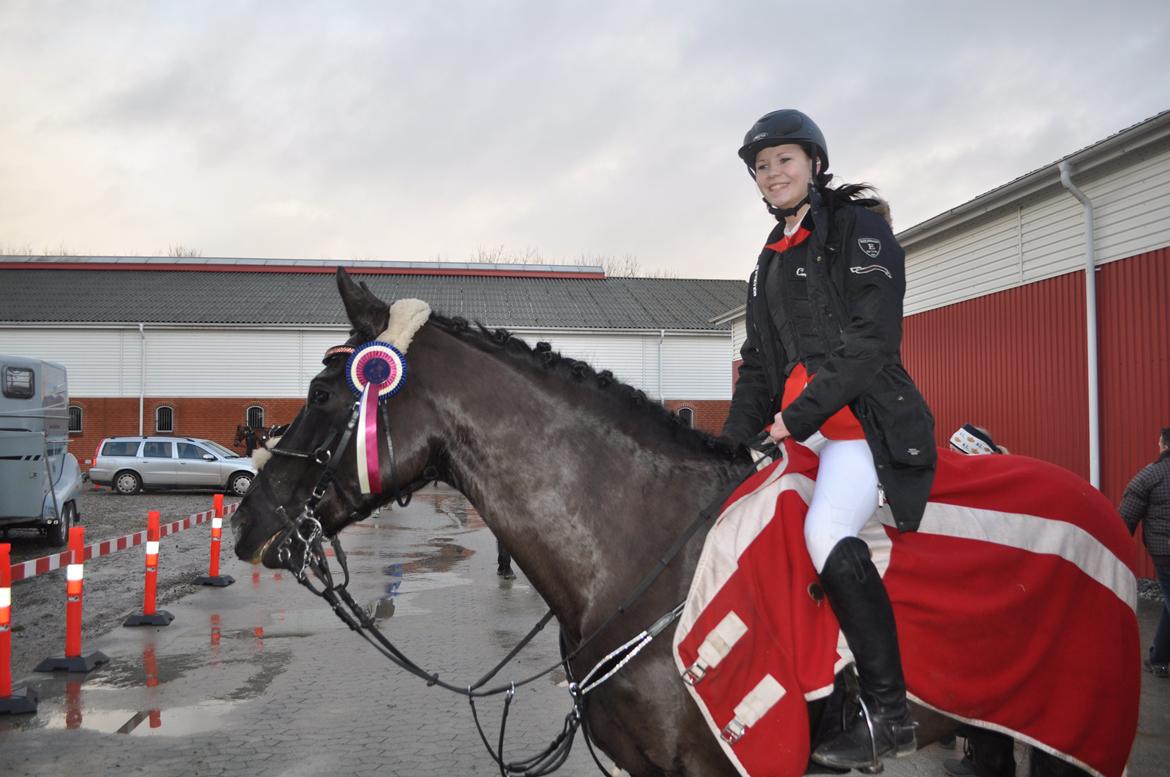 Oldenborg Josefine Fjellerup - VBH -<3 [Prinsesse] - C-stævne i tørring 2014  billede 11