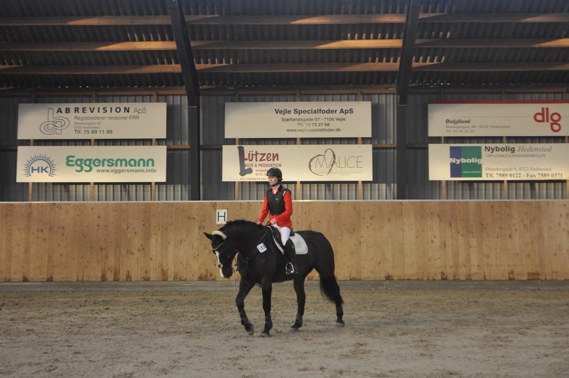 Oldenborg Josefine Fjellerup - VBH -<3 [Prinsesse] - C-stævne i Hedensted 2013 billede 41