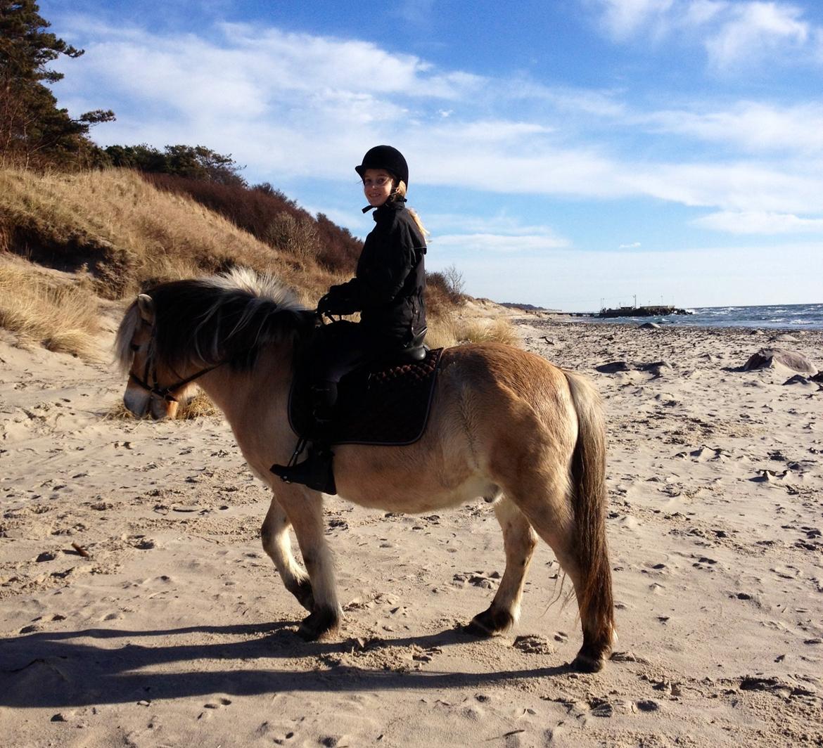 Fjordhest Strandlund's Pondus <3 - <3 billede 19