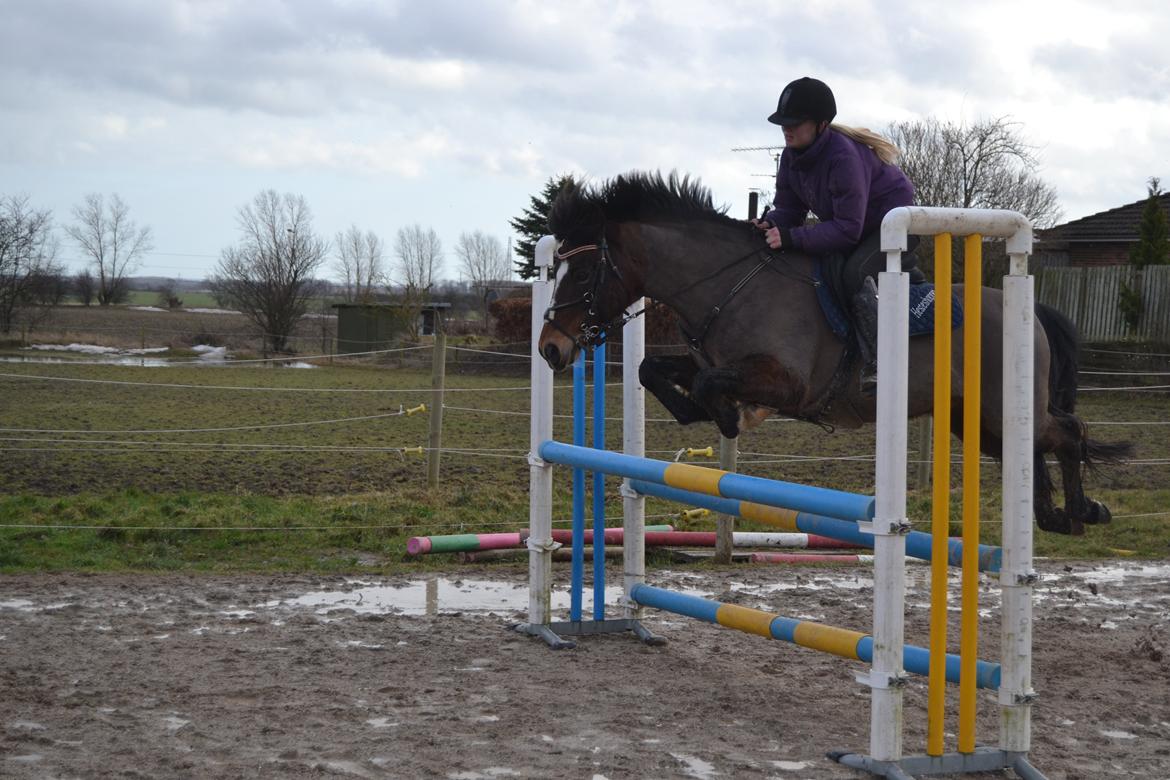 New Forest Roløkke Classic  - springtræning d. 9/2-14 LA/MB baner billede 31