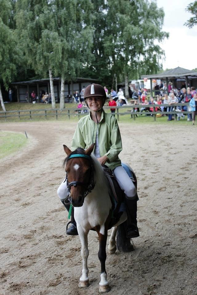 Shetlænder Smilla #Den farlige biavler! xD# billede 9