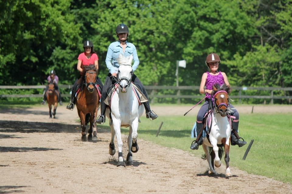 Shetlænder Smilla #Den farlige biavler! xD# - monté løb billede 19