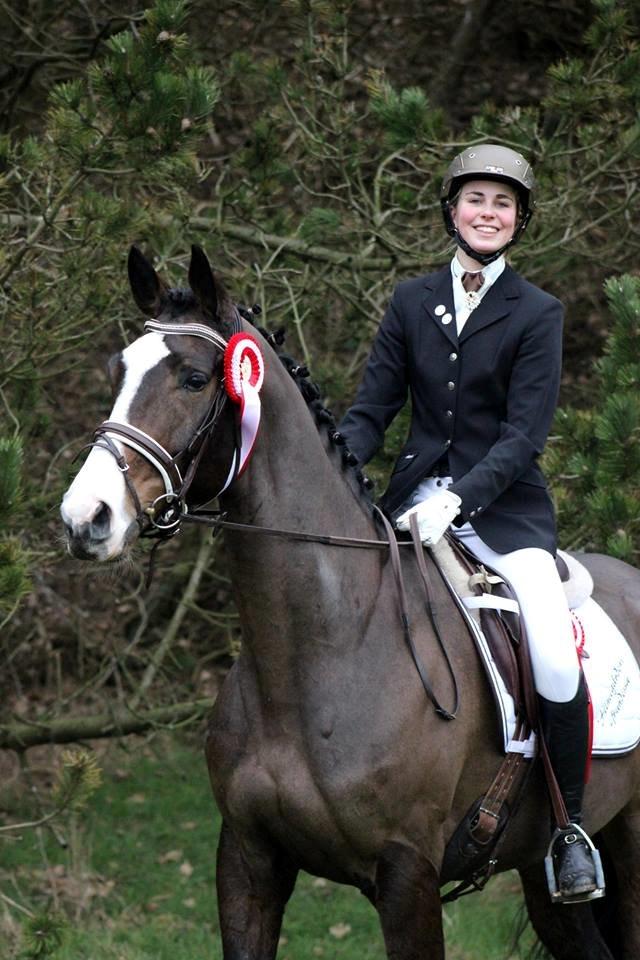 Dansk Varmblod FLINTEGÅRDENS GRANDESSA - 2 placeringer ud af 4 starter! Stolt "pony"mor! billede 11