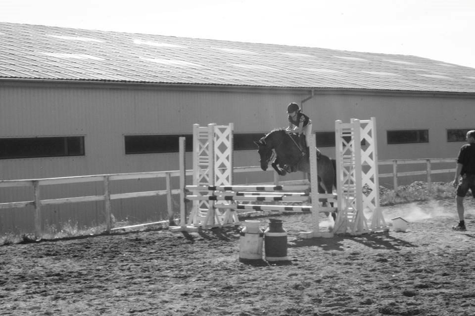 DSP coco chanel billede 6