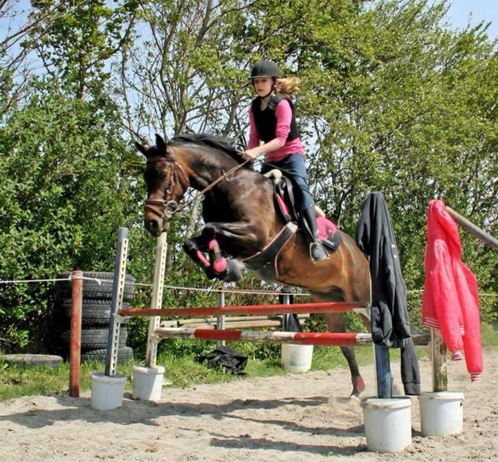 DSP coco chanel billede 10