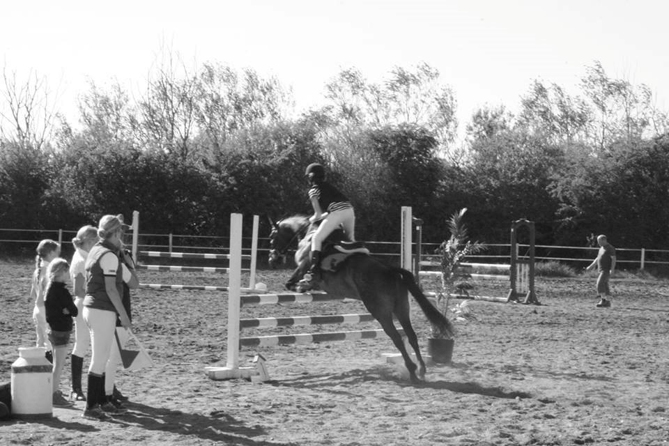 DSP coco chanel billede 14