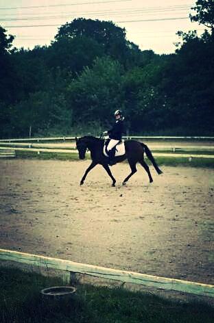 DSP Day-lights naomi billede 49