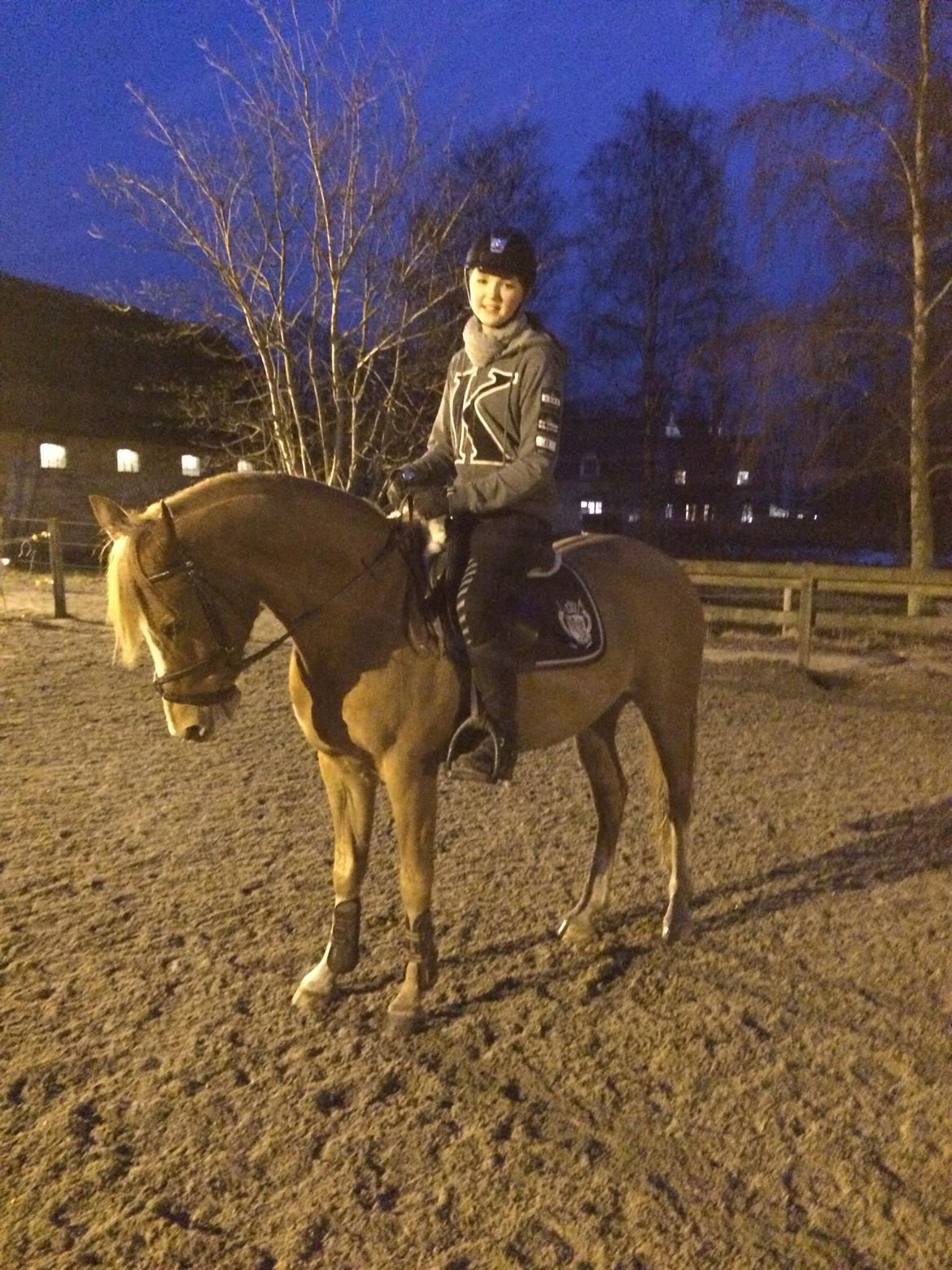 DSP Lintrupgaard Cavito billede 4