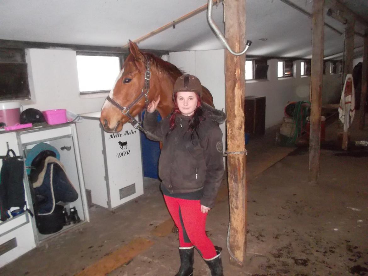 Fuldblod (XX) Avalon - Mig og Avalon's første møde :) billede 3