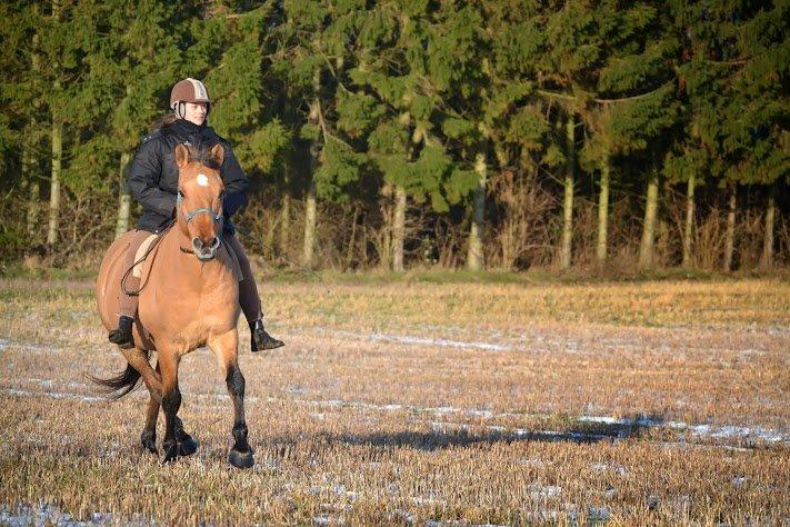 Anden særlig race Lukas billede 1