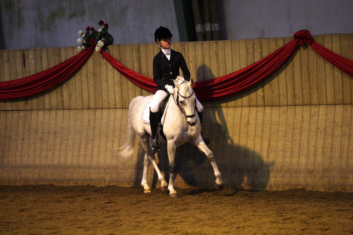 DSP Toftegaard's Hurricane SPH 182 <3 *A-Pony* billede 3