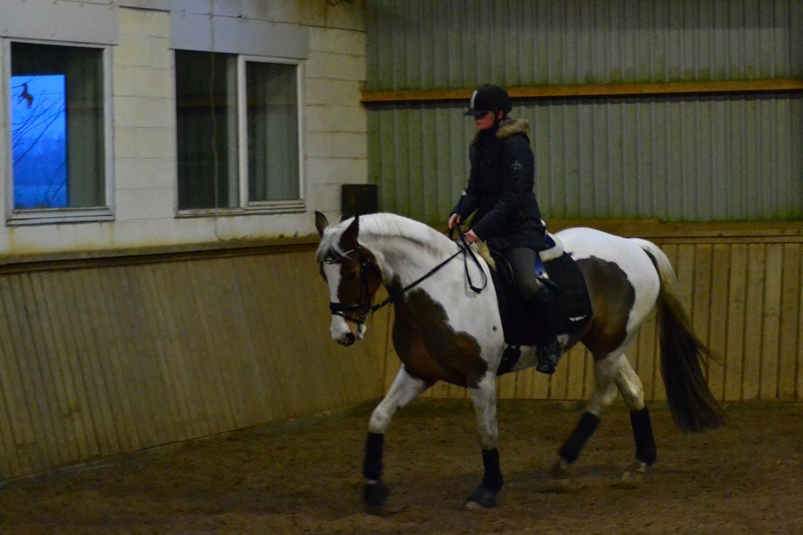 Pinto • Medina • billede 16