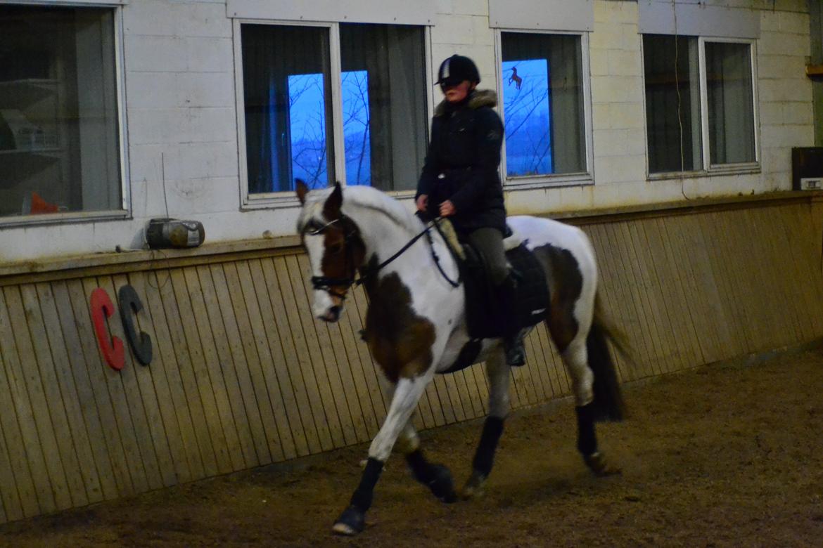 Pinto • Medina • billede 3