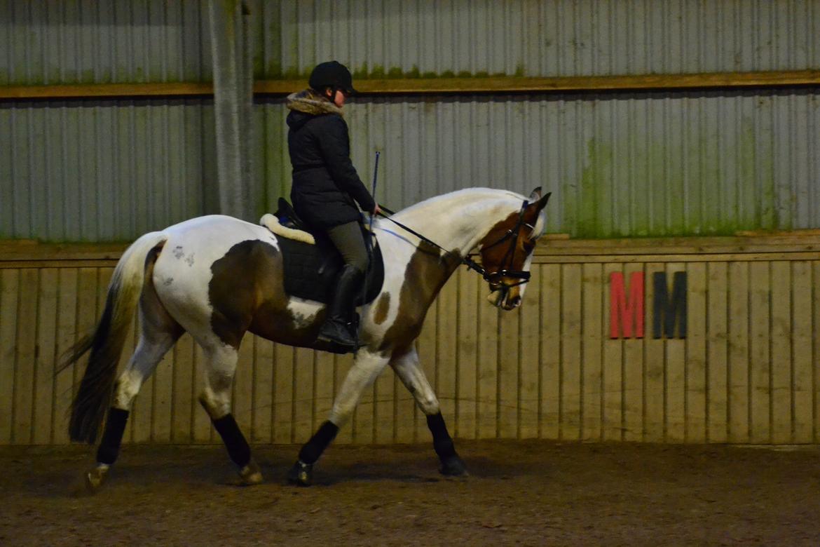 Pinto • Medina • billede 27