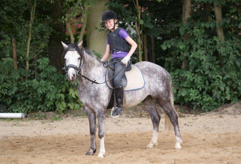Welsh Pony (sec B) Korreborg's Barolo (SOLGT) :'(<3 billede 3