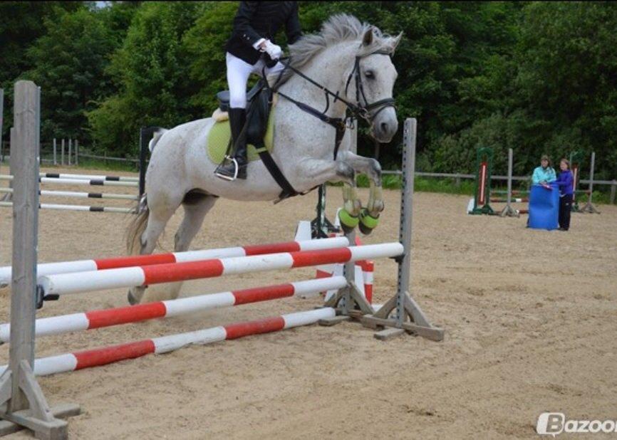 Anden særlig race Houdini<33 [min hest] - stævne :-* billede 10