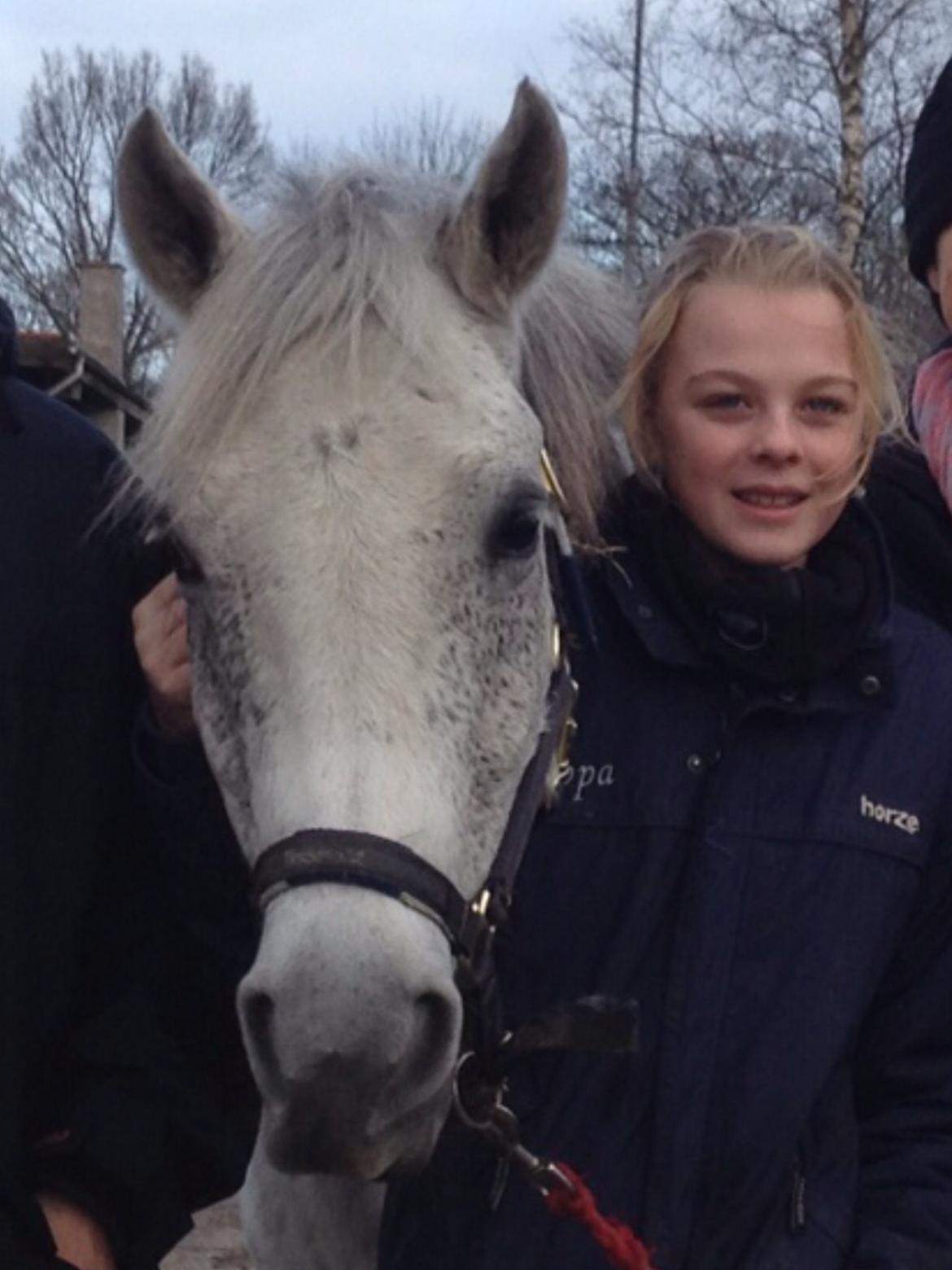 Anden særlig race Houdini<33 [min hest] - den dag vi købte SØDE houdini<33 billede 11