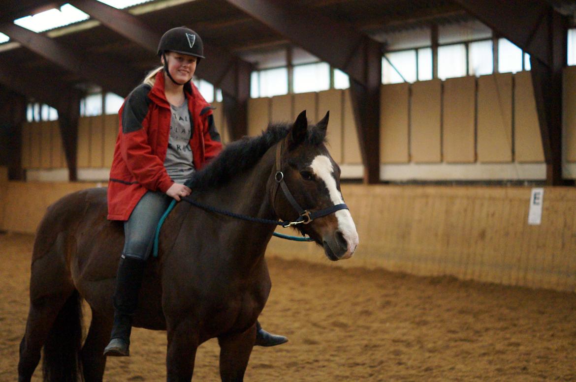 Anden særlig race | Chance - Sidste dag med Chance ♥  Januar 2014 ♥ billede 18