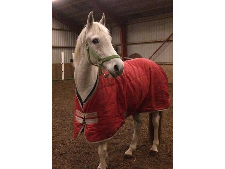 {{currentPhoto.altText}} billede {{currentPhoto.number}}