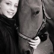 Anden særlig race Sonny boy