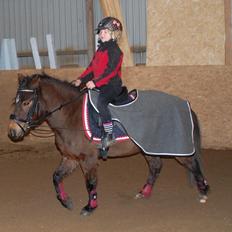 Anden særlig race peekaboo