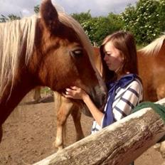 Haflinger Anjuska/Maluska