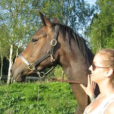 Dansk Varmblod Zena - SOLGT -RIP  :'(