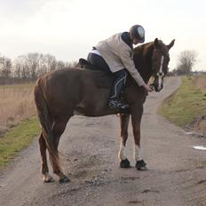 Anden særlig race Mr. Fahrenheit | Min bedsteven |