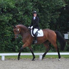 Hannoveraner Lavendel