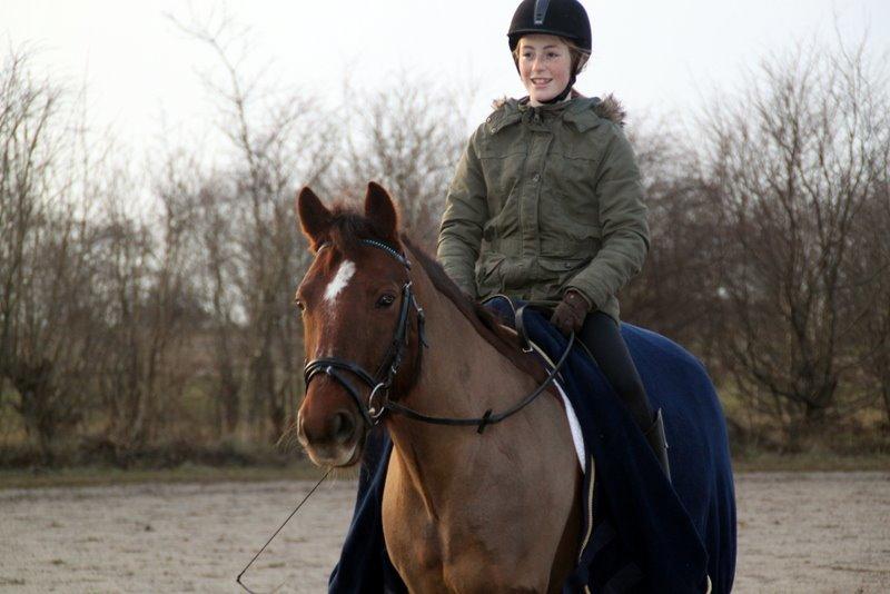 Connemara Quiva <3 - J E G  E L S K E R  D I G <3 billede 41