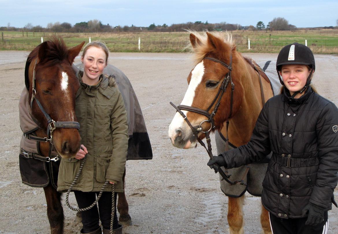 Connemara Quiva <3 - "Best friends are hard to find, because the very best friends, is already mine." - Vi savner dig Flex <3  billede 35