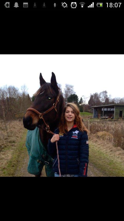 Traver Maja simoni billede 11