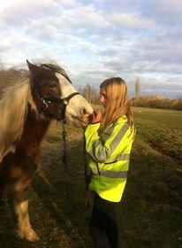 Pinto Baldur"SOLGT` billede 11