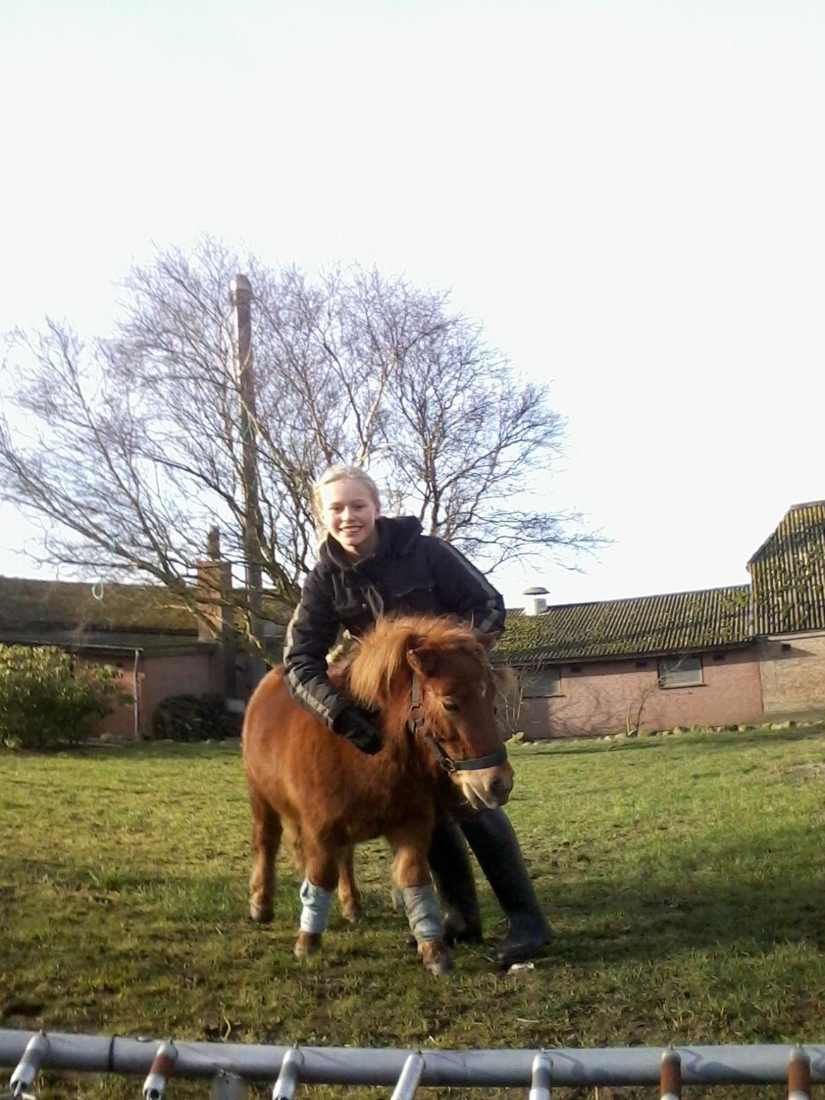 Anden særlig race abbie billede 19