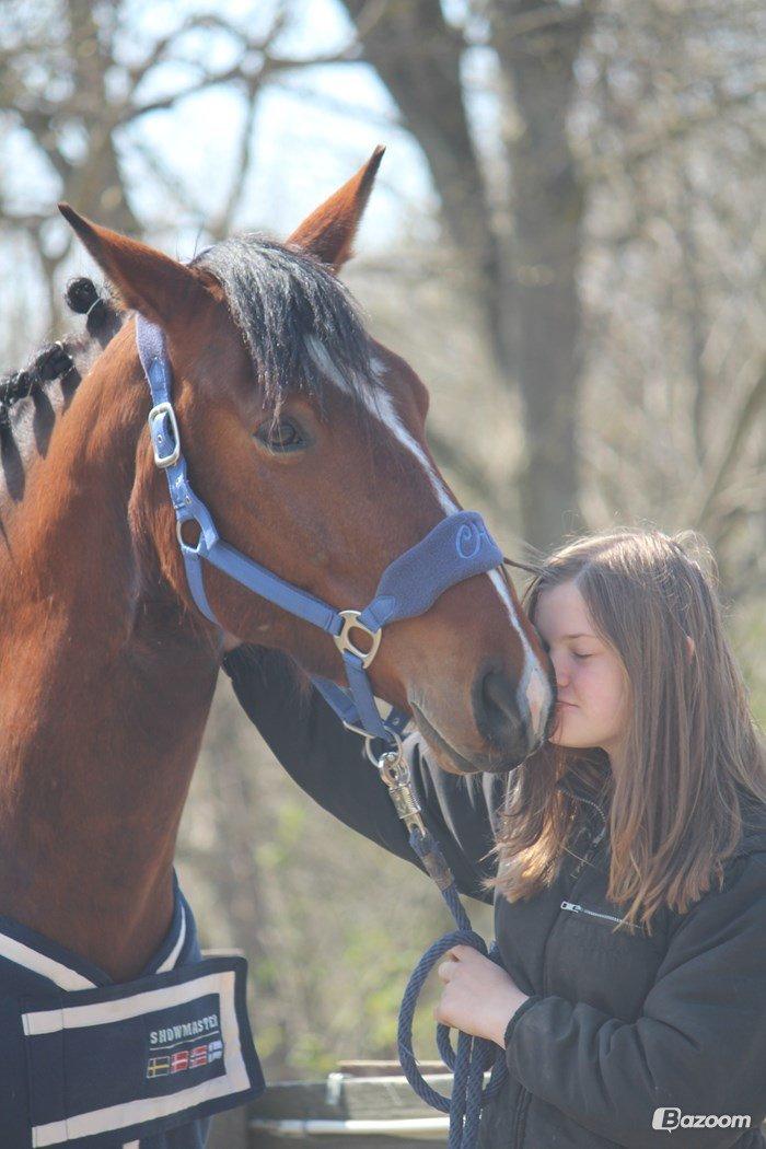 Pinto Pegasus | Soulmate | - 14. You make me smile, when I don't even want to <3 billede 14