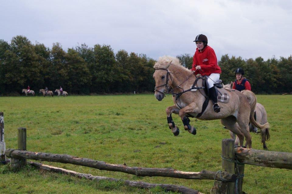 Fjordhest Stella - Stella og Mette billede 13