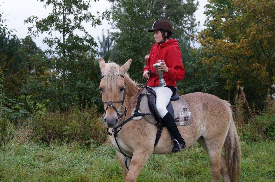Fjordhest Stella - Stella og Mette billede 30