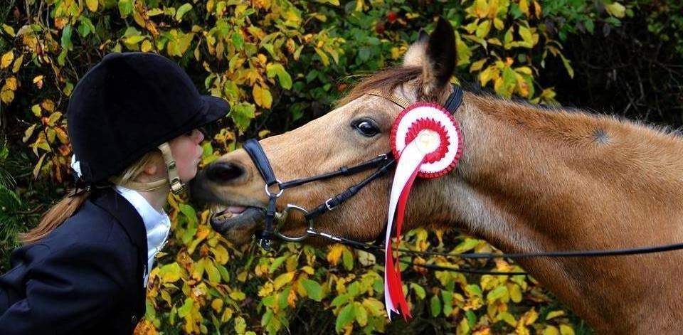 DSP Anemone Wales  - Prinsessen <3 billede 11