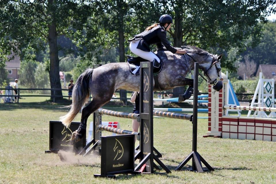 Connemara Hedegårdens Magic billede 6