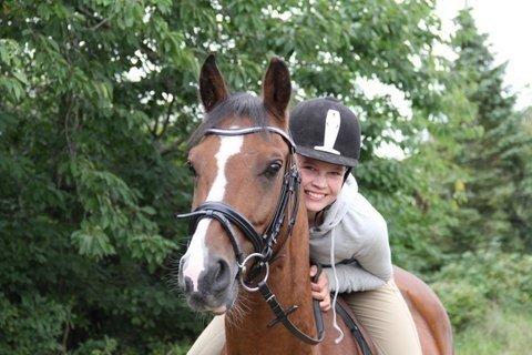 DSP Ilexus billede 2