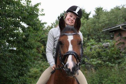 DSP Ilexus billede 3