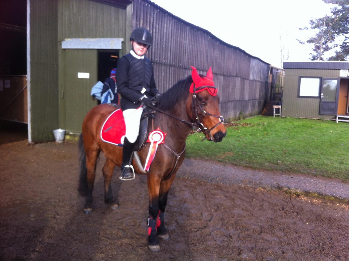 Anden særlig race Romze - Til stævne i KIR billede 22