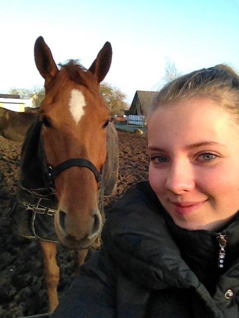 Dansk Varmblod Gørklintgårds Bellini - Selfie med tøsen :D <3 billede 7